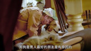 【狗狗的旅程】精彩花絮 : 快樂狗狗篇 - 現正熱映中