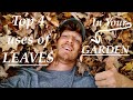 TOP 4 uses of LEAVES in your GARDEN