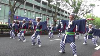 原宿表参道元気祭スーパーよさこい・帯屋町筋ジュニア隊。2015年8月30日。