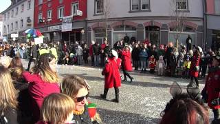 Hochrhein-Narrentreffen in Rheinfelden  5