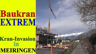 Kräne-Extrem Kraninvasion in Meiringen⚡