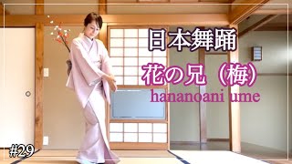 【日本舞踊】花の兄（梅）