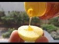 how to whiten skin naturally fast at home (Natural Scrubs For Glowing Skin ) how to whiten skin naturally fast at home (Natural Scrubs For Glowing Skin )