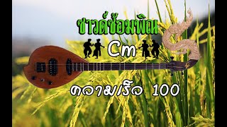 ซาวด์ซ้อมพิณ คีย์ Cm ความเร็ว 100