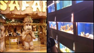 Visiting safari pet shop in Montreal Canada #part 2