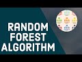 Random Forest Algorithm Tutorial | Random Forest Explained