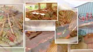 Stelio's Restaurant - serving Breakfast, Lunch and Dinner - Billerica, MA