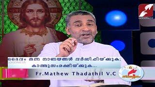 JEEVAMRUTHAM | EPI 128 | FR MATHEW THADATHIL VC