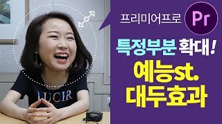 프리미어프로 특정부분 확대 효과 만들기~ 예능st 대두효과까지 짱쉽게 가능? Premiere Pro Magnify Effects