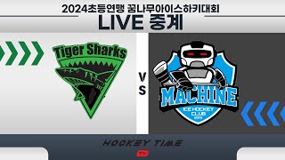 [LIVE] 타이거샥스 VS  하키머신 / D1 / 저학년 /2024 초등연맹 꿈나무 아이스하키대회  /  2024 . 9 . 18