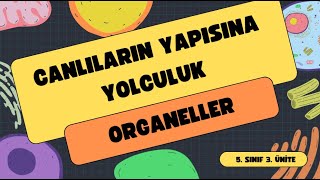 CANLILARIN YAPISINA YOLCULUK ORGANELLER (5.SINIF FEN BİLİMLERİ) YENİ MÜFREDAT HÜCRE VE ORGANELLER