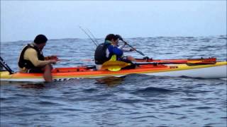 Geelbek Skifishing Action NH 24 May 2015