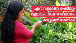 എഗ്ഗ് അമിനോ ആസിഡ് ഉപയോഗിക്കേണ്ട വിധം How to Use Egg Amino Acid Fertilizer For Plant Growth