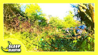 Beautiful overlook on a blue day (Nature Timelapse)