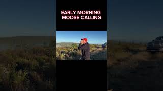 Early Morning Moose Calling #moosehunting #hunting #animals #outdoors