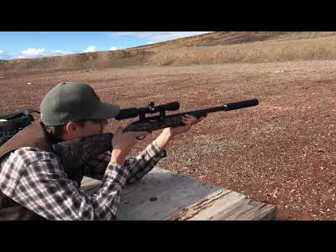 What calibers can you shoot through a 22 suppressor?