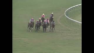 ヒシアマゾン 1994年 第12回ニュージーランドトロフィー4歳ステークス(GII) (優勝馬：ヒシアマゾン)