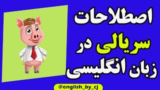 اصطلاحات سریالی در زبان انگلیسی - English with series