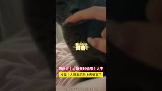 猫咪在主人睡觉时偷舔主人的手 发现主人醒来后脸上表情亮了