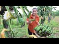 Yummy Dragon fruit flower cooking / Have you ever used dragon fruit flower for cooking?