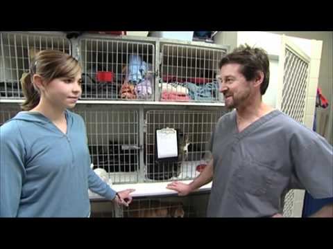 The Erin Simpson Show - Work Experience - Vet #1 The Erin Simpson Show - Work Experience - Vet #1
