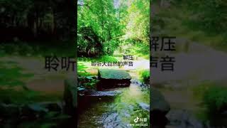 聆听大自然的声音