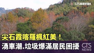 尖石霞喀羅楓紅美！　湧車潮.垃圾爆滿居民困擾｜華視新聞 20250105@CtsTw