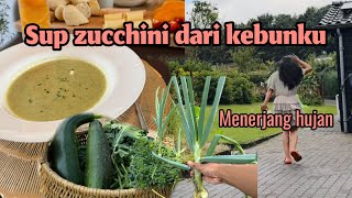 Rintik hujan di pedesaan Belanda | memasak sup zucchini dari kebunku