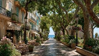 Billionaires Capital: A Walk Through Cannes - Yachts, the Most Expensive Estates, and Royal Luxury