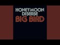 Big Bird