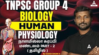 TNPSC Group 4 Biology | ENDOCRINE GLAND SYSTEM | Adda247 Tamil