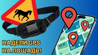 Обзор GPS-трекера Petsee КРС для лошадей и скота — настройка, функции, тестирование