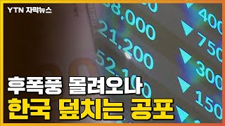 [자막뉴스] 현실화 되면 韓 엄청난 '타격'...사상 첫 선택하나 / YTN