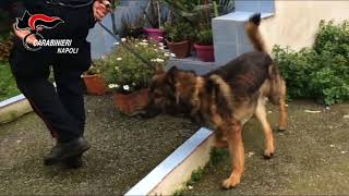 Smantellata rete di spaccio a Castellammare, 16 ordinanze