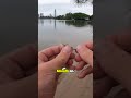 🎣 mastering soft plastic lure fishing 🎣 flathead fishing gold coast