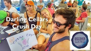 Darling Cellars Crush Day - West Coast Way