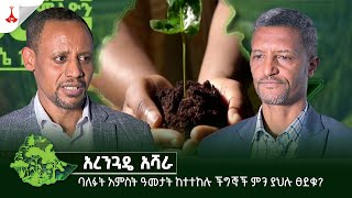 ባለፉት አምስት ዓመታት ከተተከሉ ችግኞች ምን ያህሉ ፀደቁ? Etv | Ethiopia | News zena