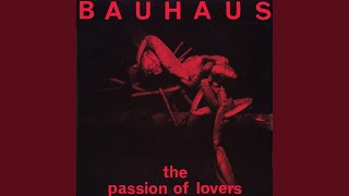 The Passion of Lovers