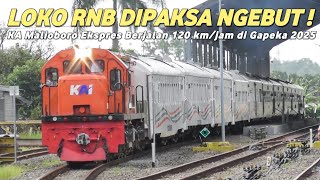 KA MALIOBORO EKSPRES NGEBUT 120 KM/JAM DI GAPEKA 2025! Lokomotif Tua Aman Dipaksa Ngebut?