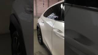 Brila Red Line Glass Coating Lexus UX 200