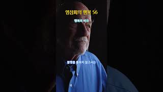 영삼씨의 행복 56 : 행복의 비극