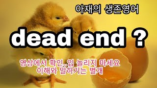 미국생활하면서 배운 것 (feat. 운전중교통표지판,막다른길 dead end) #아재영어