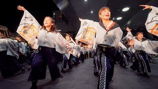 [4K] 学生よさこいチーム おどりんちゅ　龍馬よさこい 2018　2日目　JR京都駅駅前広場