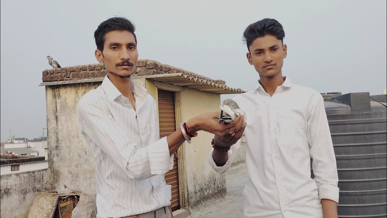 Pakda Hua Kabutar Return Kar Diya ёяшь Youtube