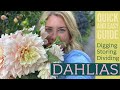 Digging and storing DAHLIAS: A quick & easy guide