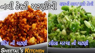 શાકને પણ ભૂલાવી દે એવી નવી ચટણીઓ | સીંગની ચટણી | લીલા મરચાં લસણની ચટણી | Thecha | Dry Chutney