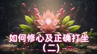 天星无际：如何修心及正确打坐（二)