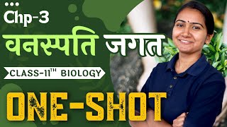 Chapter-3, वनस्पति जगत One-Shot | Plant Kingdom One-Shot | 11th Biology OneShot