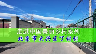 Into the beautiful countryside series走进美丽乡村系列