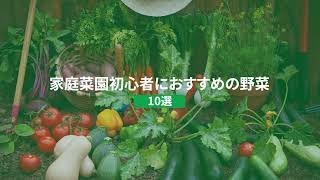 家庭菜園初心者におすすめの野菜10選｜プランターで栽培OK｜【SELECT】